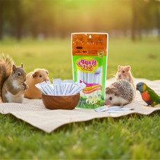 동물 밥 소동물 비타민 이빨갈이용