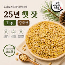 햇 중국산 잣 1kg 깐잣 백잣 수입잣