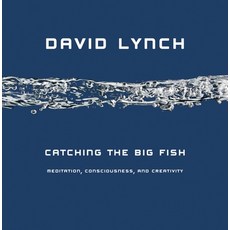 (영문도서) Catching the Big Fish: Meditation Consciousness and Creativity Hardcover, Tarcher, English, 9781585425402
