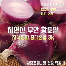 [산지직송] 국내산 자연산 농가배송 무안 황토밭 햇 자색양파 중대 혼합 3kg, 1박스