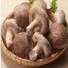 [실속선물용] 귀빈전용 자연송이향 쫀득고기맛 송향송화버섯, 1개, 1kg