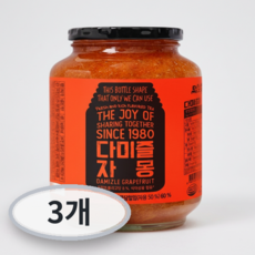 다미즐 자몽 과일청, 2kg, 1개입, 3개
