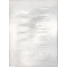 台灣青葉真空包裝機P299四代，家用真空保鮮，食品真空封口機, P299+27x37(100入)