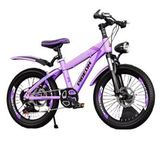 여아 입문용 두발자전거 20인치 저학년자전거 18인치, 18 인치, J. 퍼플 (7단)