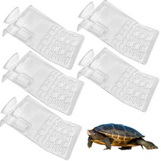 LivingJun 烏龜休息處, 5 中等