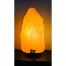 鹽燈專用開關電線, 1個, 搭配開關電線
