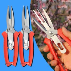 적과 가위 사과 배 과일 나무 알솎기 알솎는 원예 전정 적화, 2개