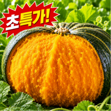 [당도보장] 제주 미니 단호박 밤호박, 1박스, 특품 로얄과 2kg