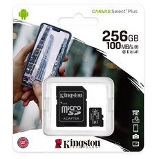 Kingston 金士頓 512GB microSDXC TF V30 A1 記憶卡 (公司貨), 1個, 256GB, 256GB