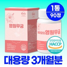 바이오티 영원 무궁 100% 정품 핏 haccp 식약청인증, 1개, 90정