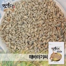 25년산 해바라기씨 불가리아산, 1개, 3kg