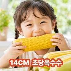 [농가직송] 꿀당도 초당옥수수 특품, 1박스, 특품 5개