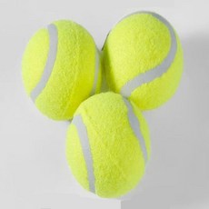 쫑이 테니스공 3P 테니스연습공