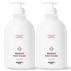 아케이 더마 리치리치 고보습 풋크림 2개 550ml, 1개