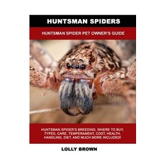 (영문도서) Huntsman Spiders: Huntsman Spider Pet Owner's Guide Paperback, Nrb Publishing, English, 9781949555332