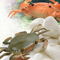 유아 과학 교구 리모콘 무선 조정 RC 꽃게 취미 선물 입문용rc 무선모형