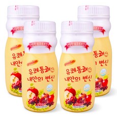 프리미엄 유쾌통쾌 내안의 변신, 100ml, 4개