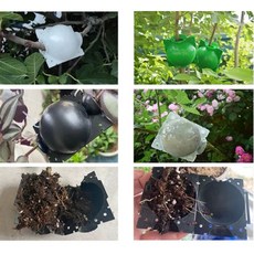 高壓繁殖盒 繁殖球 扦插嫁接生根盒, 黑色中, 1個