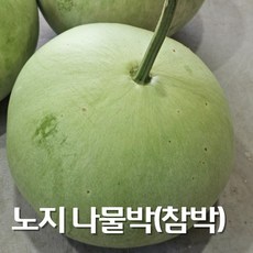 여름별미 국내산 노지 식용박 나물박 생박 1통 4~5kg, 1개
