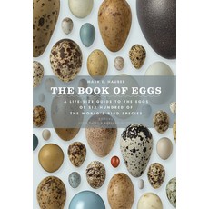 (영문도서) The Book of Eggs: A Lifesize Guide to the Eggs of Six Hundred of the World's Bird Species Hardcover, University of Chicago Press, English, 9780226057781