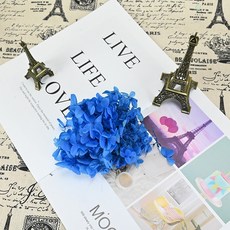 永生花/安娜繡球/永生繡球花/木繡球/繡球花/DIY不凋花/乾燥花/手腕花/胸花材料包, 817，5克木繡球寶藍