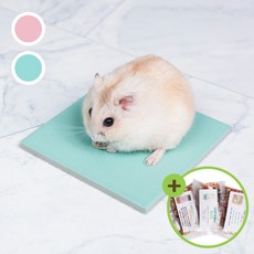 파스텔 타일 민트 햄스터 대리석 소동물 깔개 쿨매트, 1개