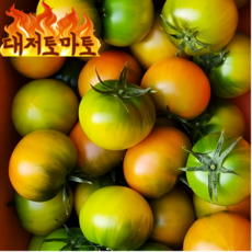 산지직송 국내산 대저토마토 랜덤과 소과, 1박스, 랜덤과2.5kg(2L~2S)