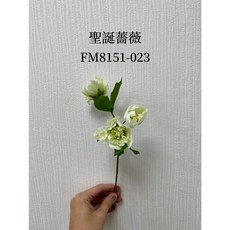 花藝夢*日本東京堂 擬真花 乾燥花 人造花 不凋花 乾燥花材 高品質, 聖誕薔薇FM8151-023