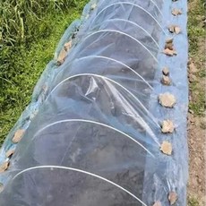 원예 식물 농사 농업 채소 재배 투명 하우스 비닐 가정용온실 조립식온실 실내식물재배기, 2m x 5m, 1개