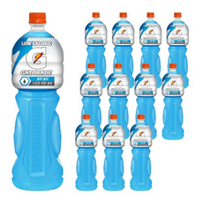 게토레이 블루 볼트, 1.5L, 24개