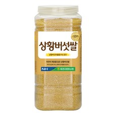 [농협] [정품] 하나로라이스 국산 상황버섯쌀 (2025년 햅쌀), 1개, 2.2kg
