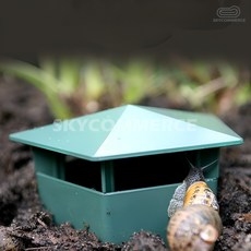 S커머스 자연학습 달팽이트랩 하우스 은신처 달팽이키우기세트 달팽이집