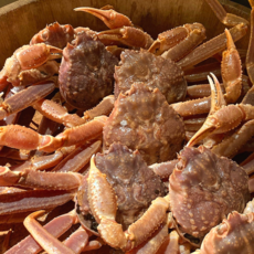 [동해항직송] 고수율 특A급 박달대게 러시아 대게, 1개, 1kg (1마리)