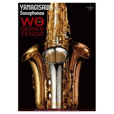 日本柳 YANAGISAWA A-WO2 中音薩克斯風．日本製．輕量化．台灣總代理公司貨, 1個