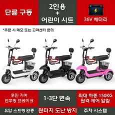 삼륜 스쿠터 전동스쿠터 전기 전동차 노인 어르신 전동 오토바이, 48V, 싱글2인승36V30km