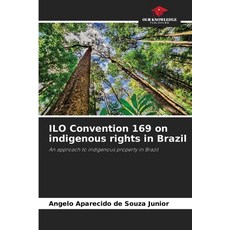 (영문도서) ILO Convention 169 on indigenous rights in Brazil Paperback, Our Knowledge Publishing, English, 9786208536145