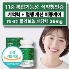 11종 복합기능성 징코 기억력개선 혈행건강 플라보놀 은행잎추출물 브레인 비타민 아연 셀렌, 1개, 90정