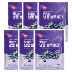 CJ 이츠웰 냉동 블루베리 1Kg x 6개