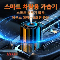 1/1+1 차량용 가습기 AI 나노 안개화 휴대용 방향제 자동 방향제 탁상용 무소음 미니 가습기, 1개, 주룽 향x160ml