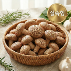 [역대급가성비] 고기식감 못난이 송화버섯 실속형, 1박스, 2kg