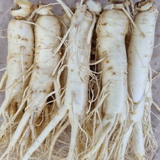 실속형 풍기인삼 1kg 깨끗한A급수삼 (황수삼) 6년근 무료세척인삼 현대만석인삼사, 501g, 1개