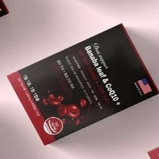 듀얼 서포트 바나바잎 코큐텐 플러스 60캡슐_24611234 삼립, 1개, 72g