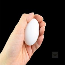 허니디자인 모형 조류알 촬영용품 부활절소품 사진촬영소품, 1개