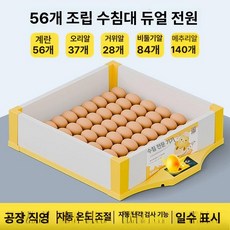 병아리 부화기 메추리 자동 사육장 키우기 싱글 유정란 육추기, 1개, 56알 조합 수조 이중 전원 알 투과기