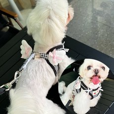 지지주 천사날개 산책목줄 세트 강아지옷 고양이옷 반려견옷 반려묘옷, 1개, 블랙