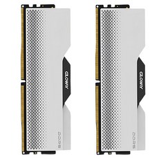 글로웨이 DDR5 데스크탑 히트싱크 램 실버 16GB GW6800N16G-SA 2개입, 1개