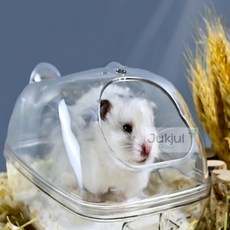 투명 햄스터 집, 소, 1개