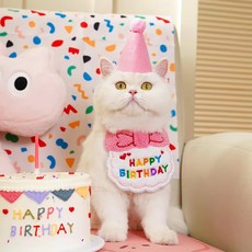 강아지 고양이 생일 파티용품 꼬깔모자+턱받이, 1세트, 핑크
