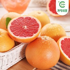 [온도씨]가락시장 당일경매 자몽 1개