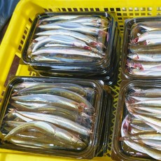 속초 햇 A급 생물 급냉 반건조 양미리 1두름 20미, [급냉] 생물양미리(20미), 1개, 600g~800g내외